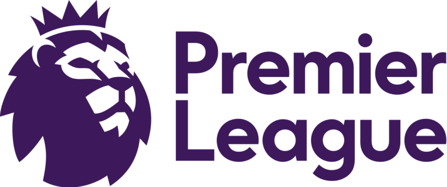 Which Premier League Team Are You Supporting This Year?